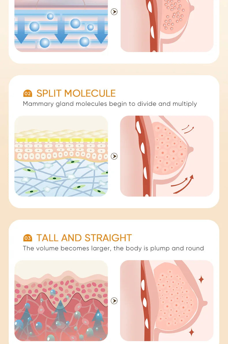 SADOER o creme número 1 para aumento de Seios